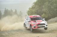 David Kelly / Dean O Sullivan - Ford Fiesta Rally 4