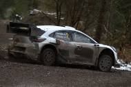 Jourdan Serderidis / Gregoire Munster - Ford Puma Rally 1