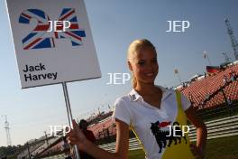 Jack Harvey (GBR), Fortec Motorsports grid girl Hungary