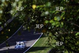 Shamus Jennings (GBR) G-Cat Racing Porsche Carrera Cup