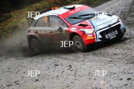 Josh McErlean / Keaton Williams Josh McErlean Hyundai i20 R5