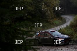 Nikolay Grayazin / Nikolay Gryazin Yaroslav Fedorov Skoda Fabia R5