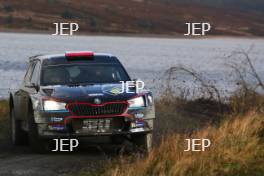 Nikolay Grayazin / Nikolay Gryazin Yaroslav Fedorov Skoda Fabia R5