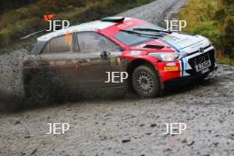 Josh McErlean / Keaton Williams Josh McErlean Hyundai i20 R5