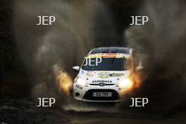 Perry Gardener / Rhys Stoneman Ford Fiesta