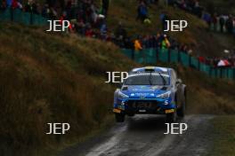 John Wink / Neil Shanks Hyundai i20 R5