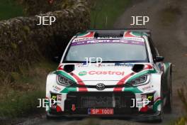 Meirion Evans / Jonathan Jackson - Volkswagen Polo GTi R5