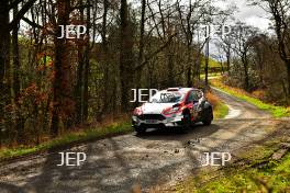 John Morrison / Max Freeman - Ford Fiesta R5