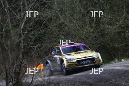 Kyle White / Sean Topping - Hyundai i20 R5