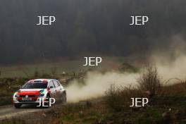 Chris Ingram / Alex Kihurani - Volkswagen Polo GTI R5