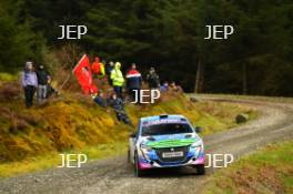 Casey Jay Coleman / Lorcan Moore - Peugeot 208 Rally4