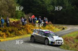 William Creighton / Liam Regan - Ford Fiesta Rally 2