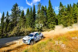 Robert Proudlock / Steven Brown - Peugeot 208 Rally4 