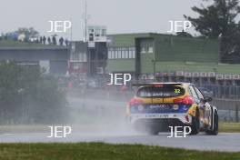 Daniel Rowbottom - NAPA Racing UK Ford Focus ST