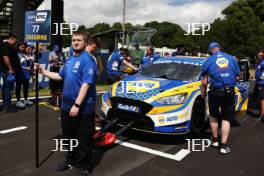 Sam Osborne - NAPA Racing UK Ford Focus ST