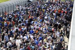 Fans on the BTCC Pitlane walk