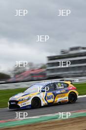 Dan Cammish - NAPA Racing UK Ford Focus ST  