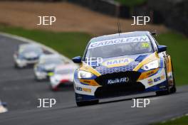 Daniel Rowbottom - NAPA Racing UK Ford Focus ST