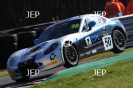 #50 Charlie Hart - Elite Motorsport Ginetta Junior