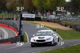 Adam Shepherd - Area Motorsport with Shepherd Motors Cupra Leon Competicion TCR