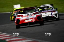 Callum Newsham - JH Racing Hyundai i30 N TCR