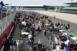 TCR Grid