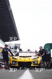 #81 TF SPORT Corvette Z06 LMGT3.R of Tom Van Rompuy, Rui Andrade and Charlie Eastwood